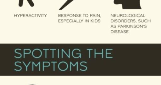 Beat Bruxism With Belmont Dental Group
