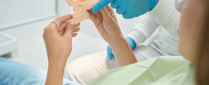 A person in a dental office holding a model of a human skull while a gloved hand points to a part of it.