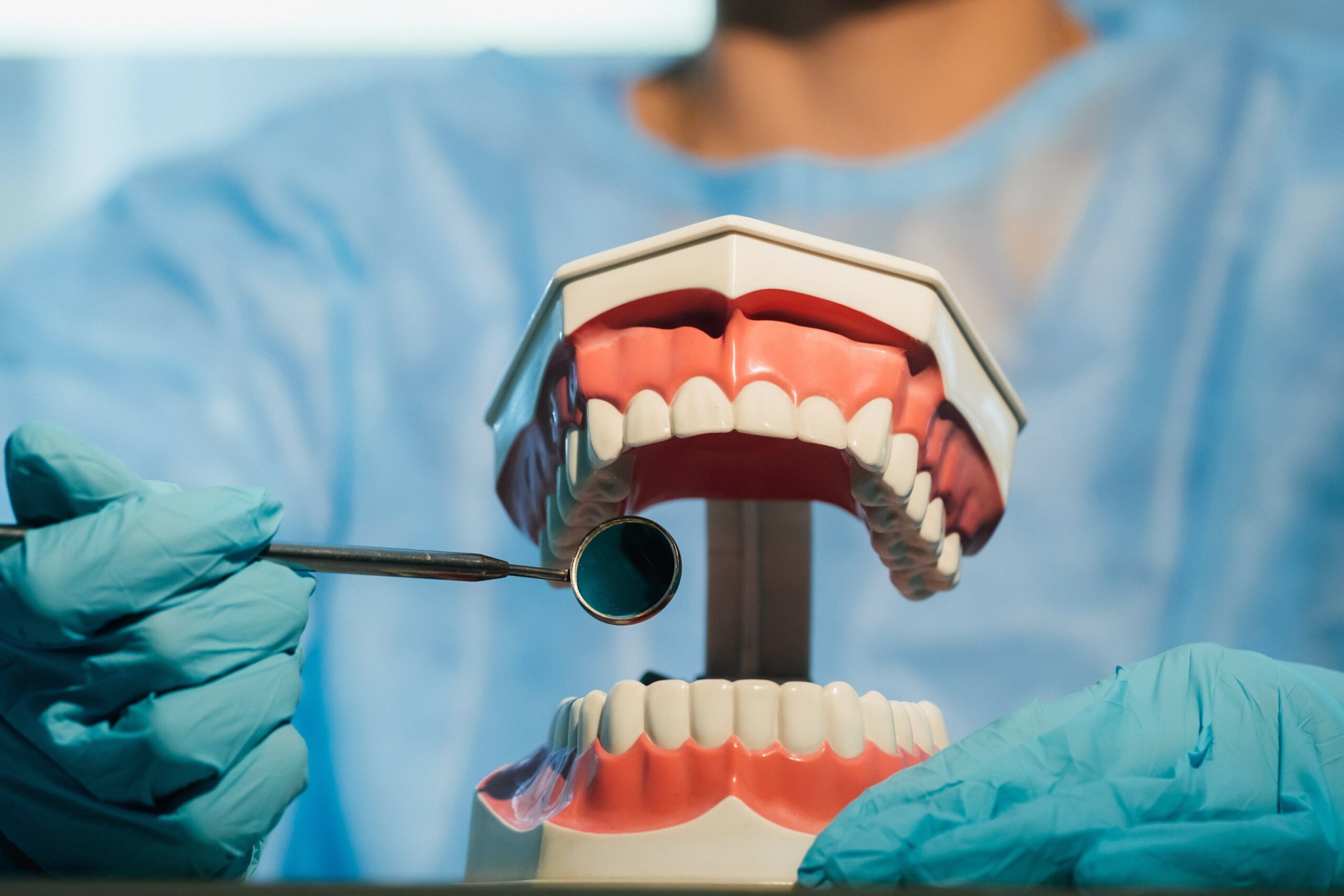 Gloved hands holding a dental model and mirror tool, demonstrating dental examination.